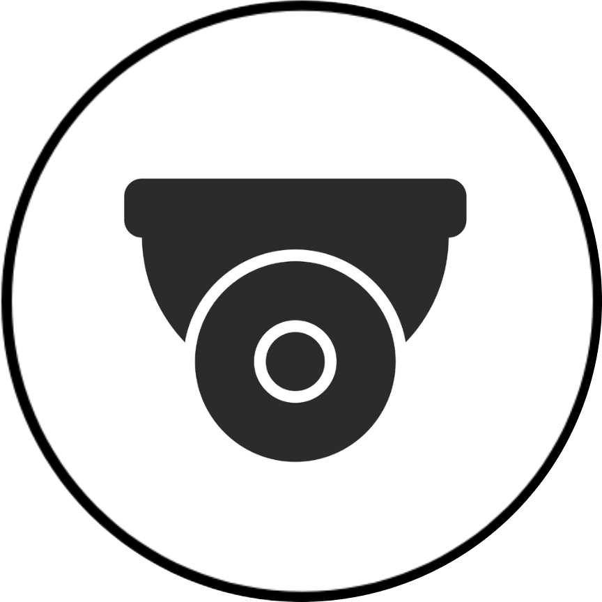 surveillance system icon-